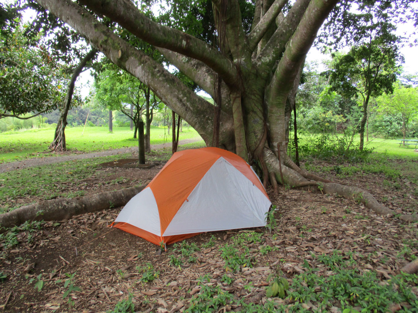 Kahua Kuou Campsite 5